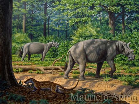 A pair of Uintatherium anceps wondering around an Eocene forest in modern day Wyoming : r ...