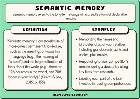 15 Semantic Memory Examples (2024)