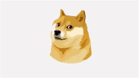 Why Did Elon Musk Change the Twitter Logo to the Dogecoin ...