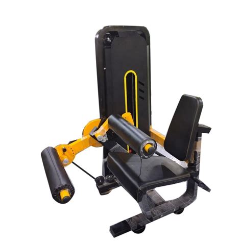 Manual Leg Curl Machine, For Gym at Rs 27000 in Meerut | ID: 2849296856030