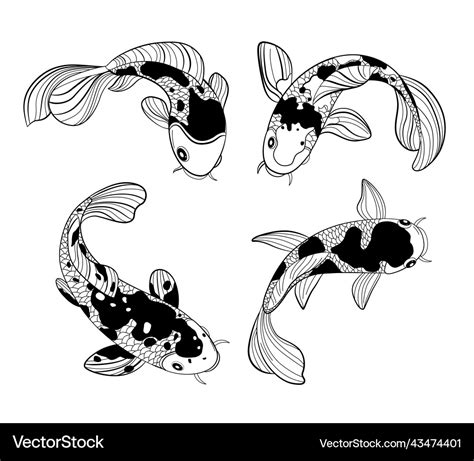 Koi fish drawing Royalty Free Vector Image - VectorStock