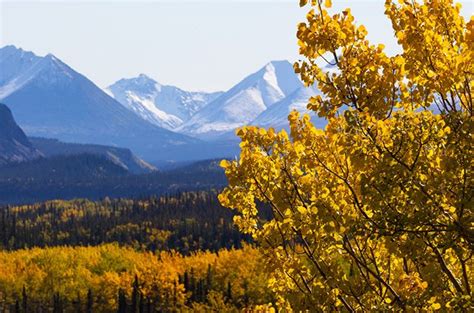 In Alaska, Fiery Fall Foliage is a Breathtaking Contrast to Snow-Capped Peaks - Your AAA Network