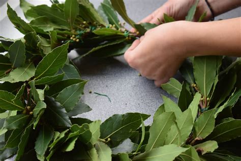 How to Make a White Poppy Wreath | Peace Pledge Union