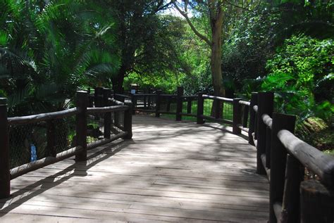 The Boardwalk - Nairobi Safari Walk - ZooChat