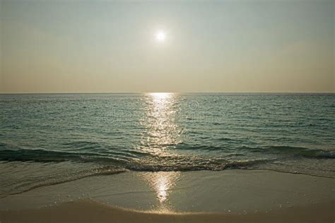 Panoramic View of Remote Tropical Beach at Sunset Stock Photo - Image of outside, landscape ...