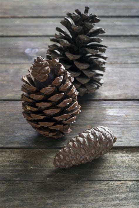 Pine cones | High-Quality Nature Stock Photos ~ Creative Market