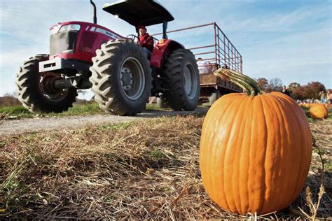 6 hayrides for fall fun in Connecticut