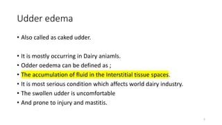 udder edema in goats | PPT