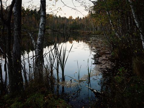 The Hidden Lake on Behance