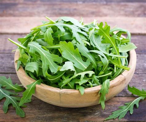 Rocket to Success: The Best Arugula Companion Plants — Gardening, Herbs ...