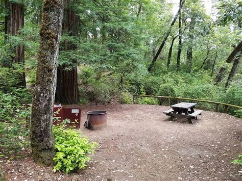 hidden-springs-campground-humboldt-redwoods-state-park-12 | Campground ...