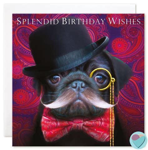 Black Pug Birthday Card for all 'SPLENDID BIRTHDAY WISHES' | juniperlove | Black pug, 60th ...