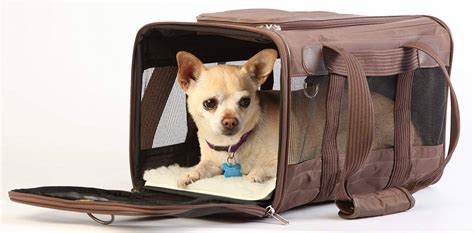 The Best Airline Approved Dog Carriers and Crates in 2023 | PawGearLab