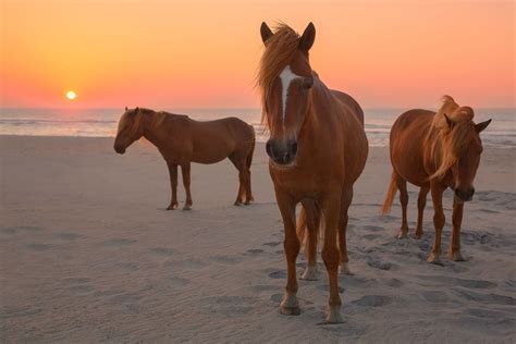 Best 10 Beaches Near Washington DC