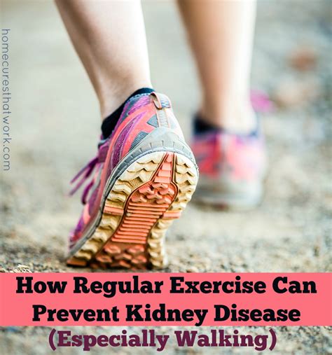 How Regular Exercise Can Prevent Kidney Disease