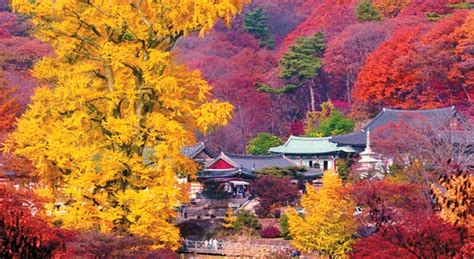 Why Gangwon Is The Best Place On Earth To Visit In Autumn