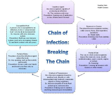 chain of infection | Chain of Infection: Breaking the Chain | Nursing | Pinterest | Chain of ...