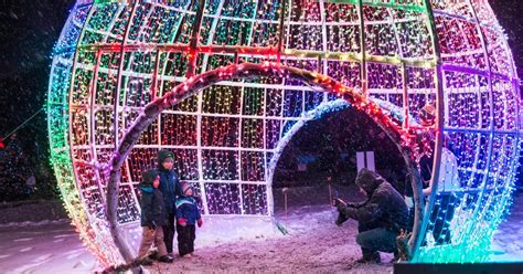 Brookfield Zoo To Light Up With Holiday Magic On Weekends In December - CBS Chicago