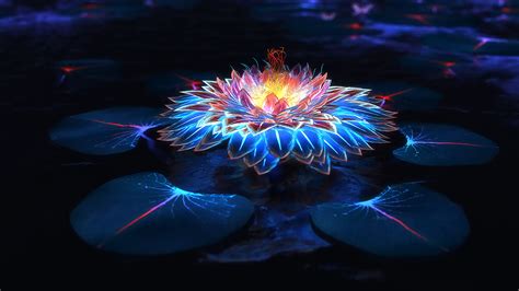 Lotus, Flower, Glowing, Colorful, 4K, 3840x2160, #23 Wallpaper PC Desktop