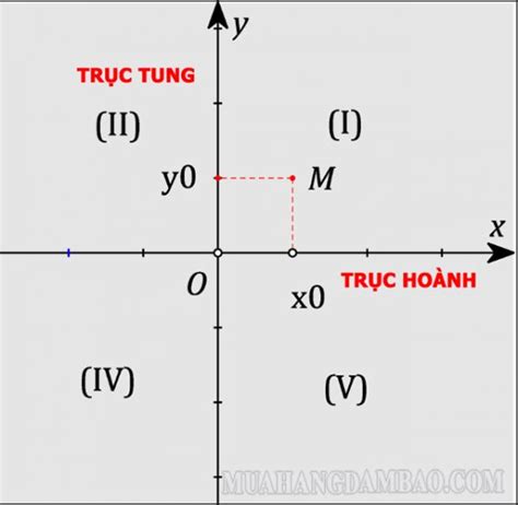 Trục tung trục hoành là gì? Cách xác định trục tung trục hoành