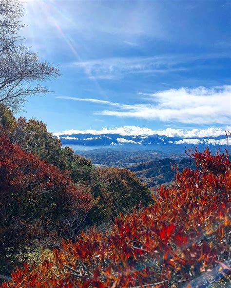 Discover Chichibu - A Unique Area Near Tokyo You Should Visit