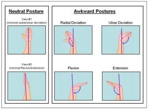 8 Fundamental Ergonomic Principles for Better Work Performance