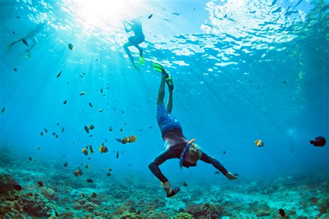 Snorkel Adventure: Tours, Prices & Schedules - Denomades