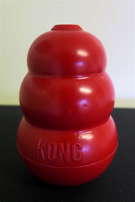 Why your dog needs a KONG | Stale Cheerios