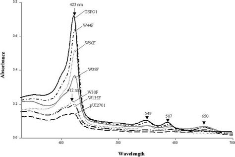 Absorbance spectra of the tetrapyrrole pigments accumulated by resting ...