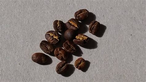 Light-colored matter clinging to roasted coffee beans - Coffee Stack Exchange