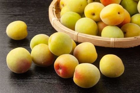 All About the Chinese Plum - Minneopa Orchards