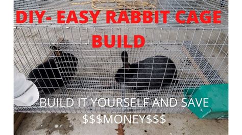 DIY- Step by Step Rabbit Cage build | Better than store bought! - YouTube