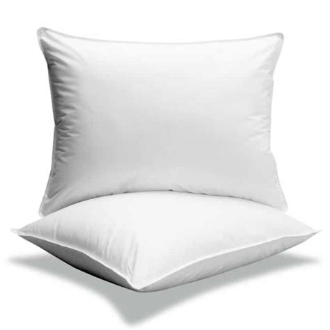 Best Orthopedic And Cooling Pillows For Stomach Sleepers - Disabilitease