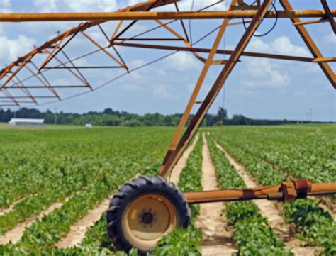 Row crop farming | Row crop farming, Farm photography, Farm