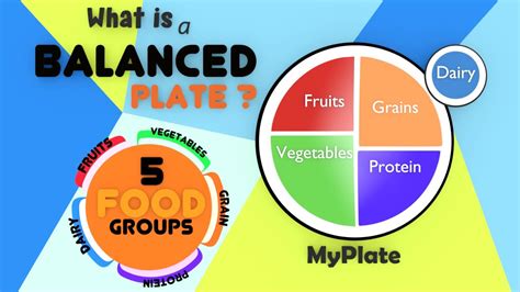 The Food Pyramid for Kids | Balanced Diet | Food Groups And Nutrition | Healthy Plate for Kids ...