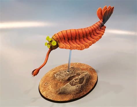 Opabinia regalis (Scientific Models by Trilobiti Design) | Dinosaur Toy Blog