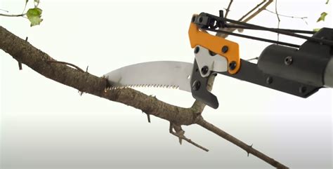 Fiskars Pole Saw Parts: What You Need to Know? - PoleSawGuide