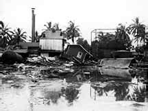 1946: Hawaii, Big Island | Pacific Tsunami Museum