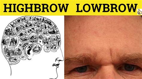 🔵 Highbrow Lowbrow - Highbrow Meaning - Lowbrow Examples - Highbrow ...