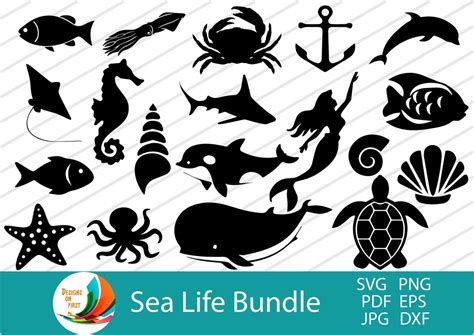 Sea Life SVG Marine Life SVG Mermaid SVG - Etsy