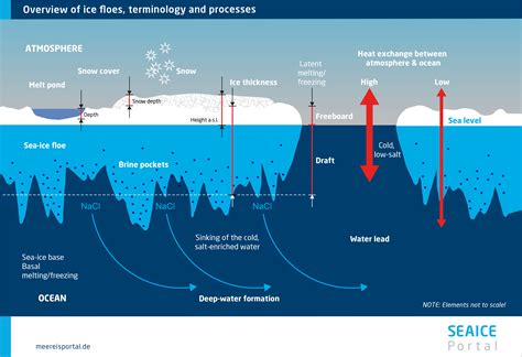 The crystalline structure of sea ice in a nutshell. | Seaice portal