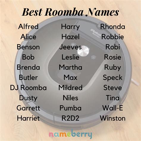 The best Roomba names are playful and funny — we like names in style-limbo, those that remind us ...