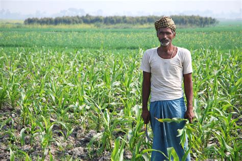 Plugging the Leaks in Food Distribution: The Supreme Court of India Delivers Migrant Workers ...