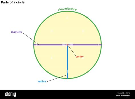 A diagram of a circle with the center, diameter, circumference, and radius labeled. geometry ...