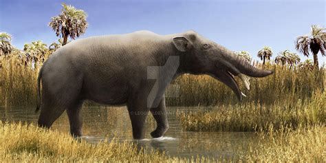 Amebelodon by Leogon on DeviantArt