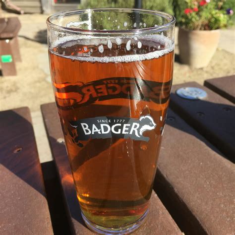 Free stock photo of Badger Beer Pint