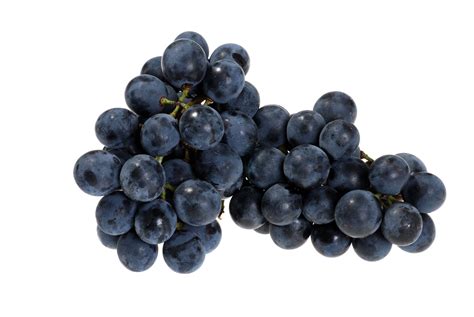 Concord grape - sipluli