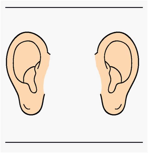 Pair Of Ears Clip Art