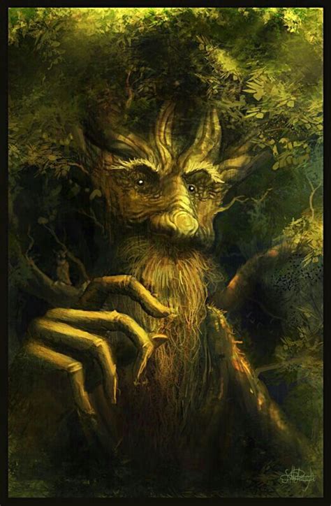 Treebeard LOTR | Treebeard, Tolkien, Middle earth art