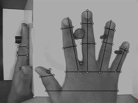 Biometrics/biometrie hand/finger geometry (gomtrie de la main, du doigt)